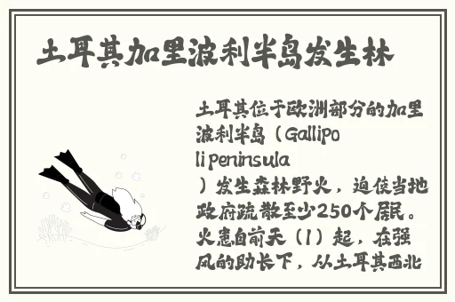 精69XXXXXX在线观看